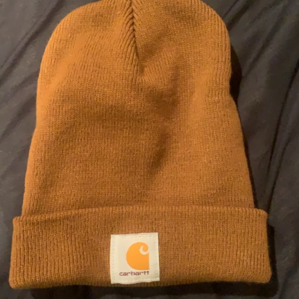 carhartt beanie